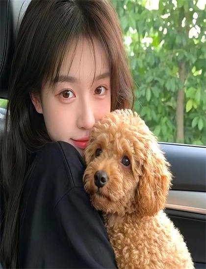 向风而行电视剧免费观看_蝴蝶中文综合娱乐网_午夜dj影视在线观看高清